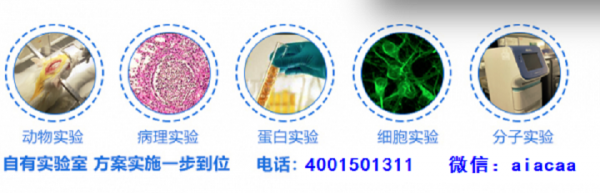 北京专业药代动力学临床前动物实验动物模型外包代做委托技术服务