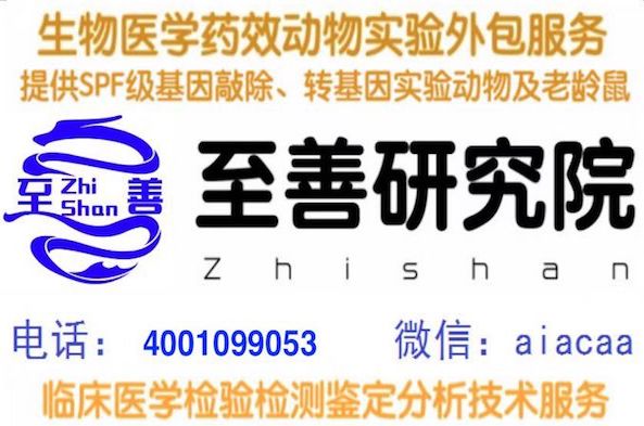 嶨λע