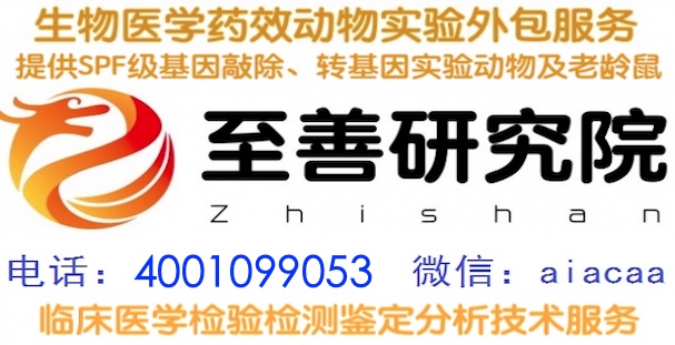 实验动物大鼠代养小鼠寄养大鼠代养模型实验动物代养机构提供北京实验动物模型大鼠寄养小鼠代养小鼠寄养代养实验动物寄养及实验动物小鼠代养饲养保种服务 实验动物大鼠代养小鼠寄养大鼠代养模型实验动物代养机构提供北京实验动物模型大鼠寄养小鼠代养小鼠寄养代养实验动物寄养及实验动物小鼠代养饲养保种服务